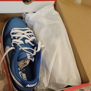 Nike Royal Blue and White High-Tops